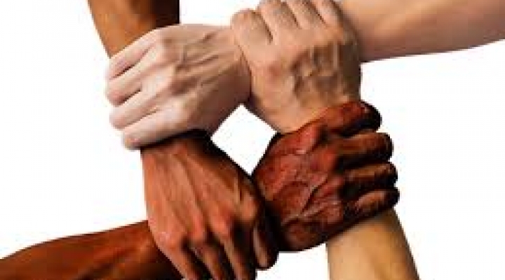 hands of different races holding each other